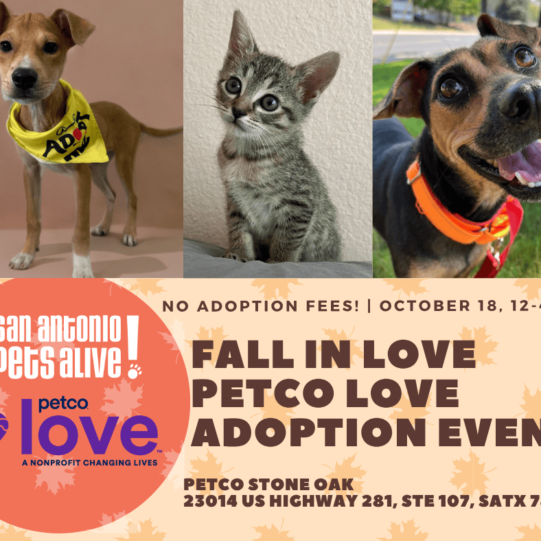 Pet adoption event, October 18, no fees, San Antonio.