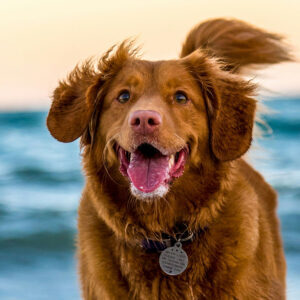 oscar-sutton-yihlaRCCvd4-unsplash